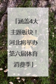 涵盖4大主题板块！河北将举办第六届体育消费季