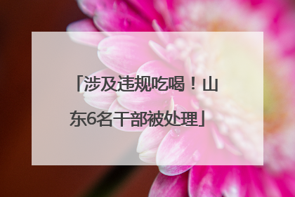 涉及违规吃喝！山东6名干部被处理