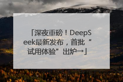 深夜重磅！DeepSeek最新发布，首批“试用体验”出炉→