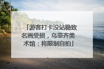 游客打卡没站稳致名画受损，乌菲齐美术馆：将限制自拍