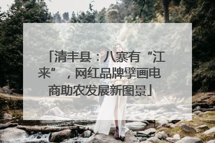清丰县：八寨有“江来”，网红品牌擘画电商助农发展新图景