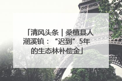 清风头条｜桑植县人潮溪镇：“迟到”5年的生态林补偿金