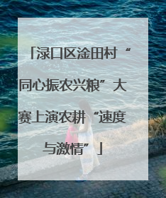渌口区淦田村“同心振农兴粮”大赛上演农耕“速度与激情”