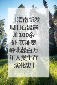 渭南新发现旧石器遗址100余处 实证秦岭北麓百万年人类生存演化史