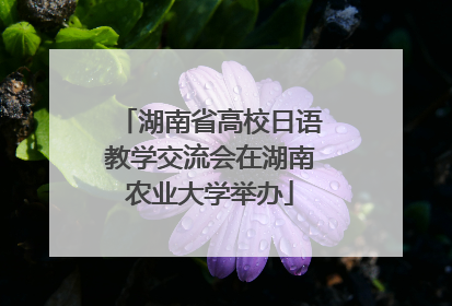 湖南省高校日语教学交流会在湖南农业大学举办