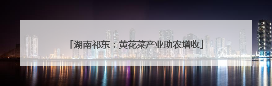 湖南祁东：黄花菜产业助农增收