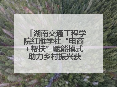 湖南交通工程学院红雁学社“电商+帮扶”赋能模式 助力乡村振兴获帮扶乡镇好评