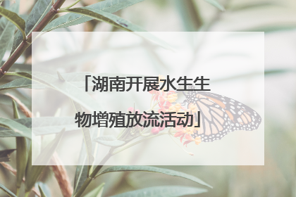 湖南开展水生生物增殖放流活动