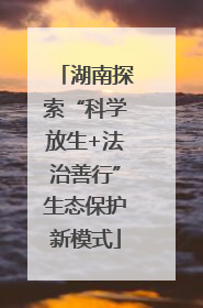 湖南探索“科学放生+法治善行”生态保护新模式