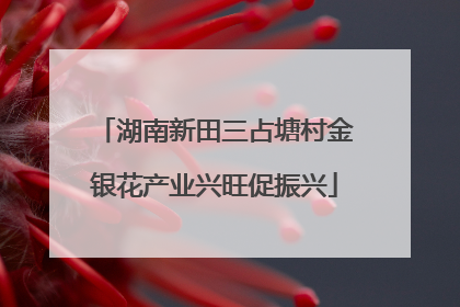 湖南新田三占塘村金银花产业兴旺促振兴