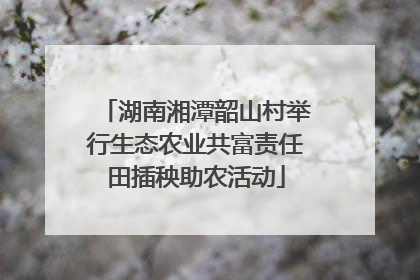 湖南湘潭韶山村举行生态农业共富责任田插秧助农活动