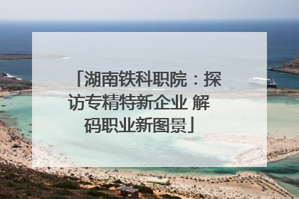 湖南铁科职院：探访专精特新企业 解码职业新图景
