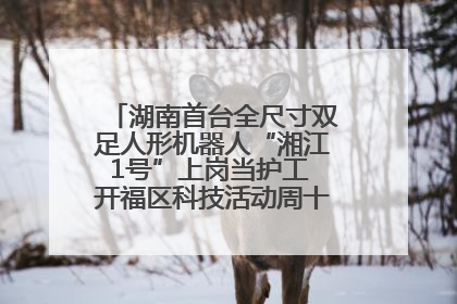 湖南首台全尺寸双足人形机器人“湘江1号”上岗当护工 开福区科技活动周十大科创项目签约