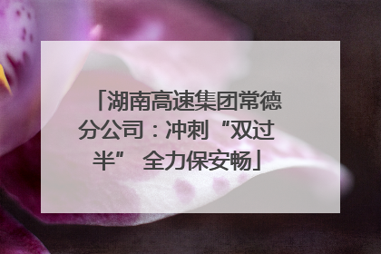 湖南高速集团常德分公司：冲刺“双过半” 全力保安畅