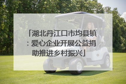 湖北丹江口市均县镇：爱心企业开展公益捐助推进乡村振兴