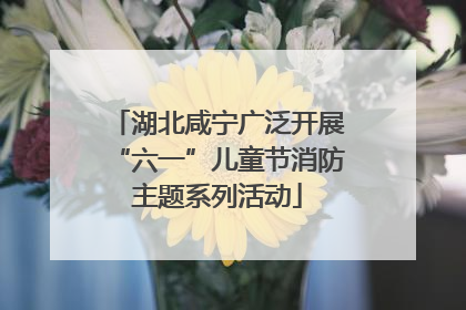 湖北咸宁广泛开展“六一”儿童节消防主题系列活动