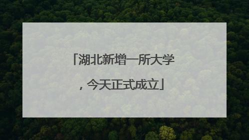 湖北新增一所大学，今天正式成立