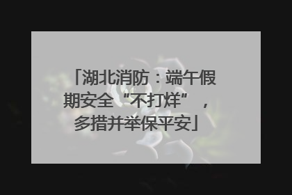 湖北消防：端午假期安全“不打烊”，多措并举保平安