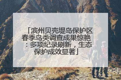 滨州贝壳堤岛保护区春季鸟类调查成果惊艳：多项纪录刷新，生态保护成效显著