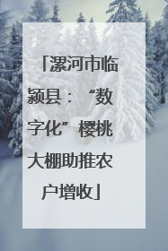 漯河市临颍县：“数字化”樱桃大棚助推农户增收