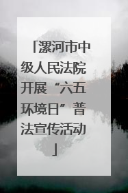 漯河市中级人民法院开展“六五环境日”普法宣传活动