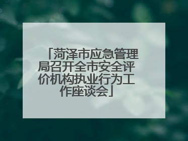 菏泽市应急管理局召开全市安全评价机构执业行为工作座谈会