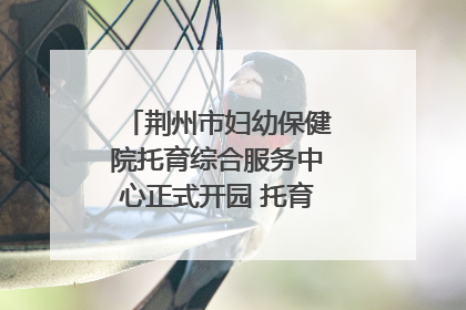 荆州市妇幼保健院托育综合服务中心正式开园 托育宣传月同步启动