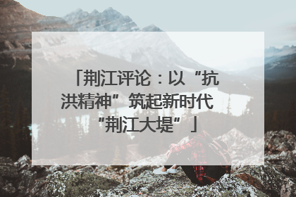 荆江评论：以“抗洪精神”筑起新时代“荆江大堤”