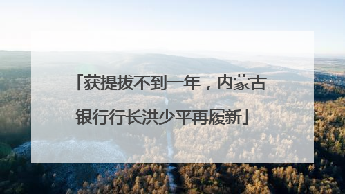 获提拔不到一年，内蒙古银行行长洪少平再履新