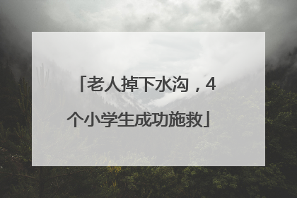老人掉下水沟，4个小学生成功施救