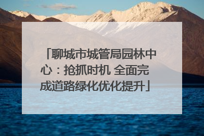 聊城市城管局园林中心：抢抓时机 全面完成道路绿化优化提升