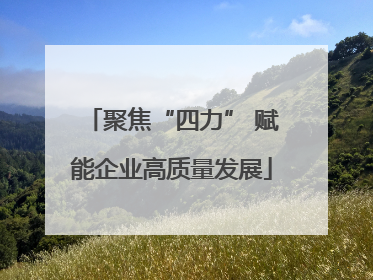聚焦“四力” 赋能企业高质量发展