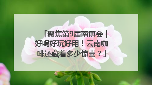 聚焦第9届南博会｜好喝好玩好用！云南咖啡还藏着多少惊喜？