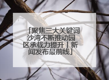 聚焦三大关键词 沙湾不断推动园区承载力提升丨新闻发布最前线