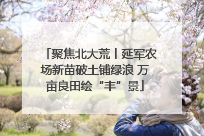聚焦北大荒丨延军农场新苗破土铺绿浪 万亩良田绘“丰”景