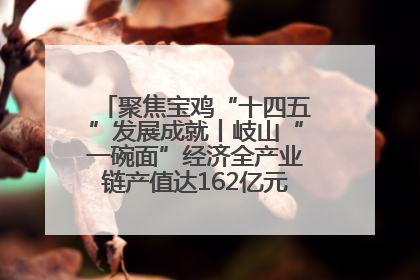 聚焦宝鸡“十四五”发展成就丨岐山“一碗面”经济全产业链产值达162亿元 入选全国典型县