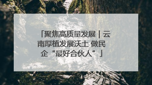 聚焦高质量发展｜云南厚植发展沃土 做民企“最好合伙人”