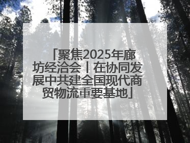 聚焦2025年廊坊经洽会丨在协同发展中共建全国现代商贸物流重要基地