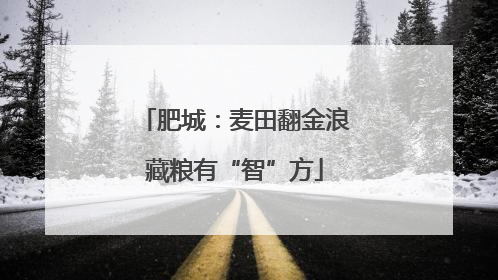 肥城：麦田翻金浪藏粮有“智”方