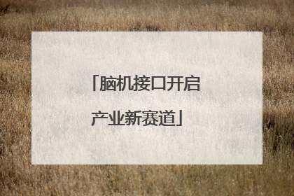 脑机接口开启产业新赛道