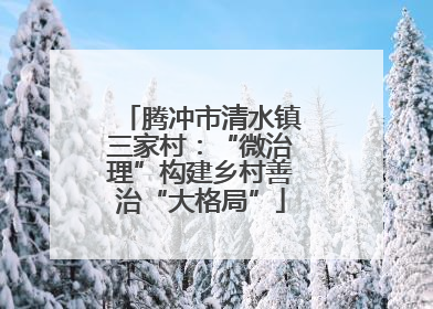 腾冲市清水镇三家村：“微治理”构建乡村善治“大格局”
