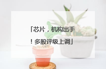 芯片，机构出手！多股评级上调