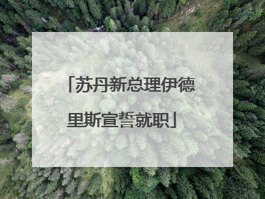 苏丹新总理伊德里斯宣誓就职