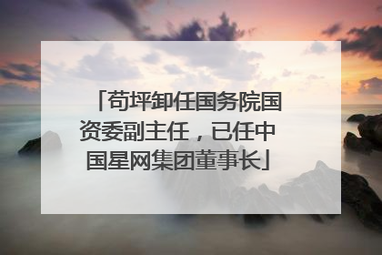 苟坪卸任国务院国资委副主任，已任中国星网集团董事长