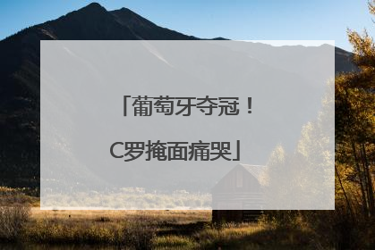 葡萄牙夺冠！C罗掩面痛哭