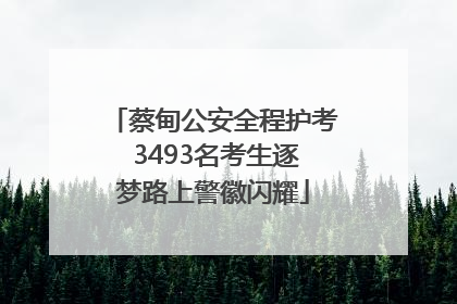 蔡甸公安全程护考 3493名考生逐梦路上警徽闪耀