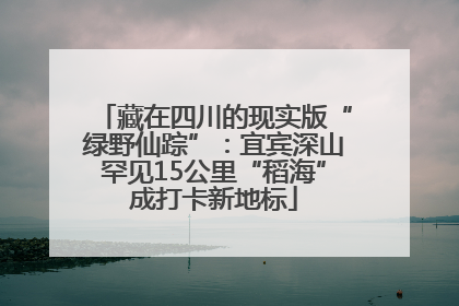 藏在四川的现实版“绿野仙踪”：宜宾深山罕见15公里“稻海”成打卡新地标
