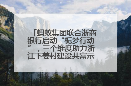 蚂蚁集团联合浙商银行启动“栀梦行动”，三个维度助力浙江下姜村建设共富示范区示范点