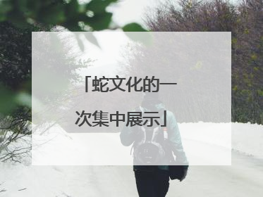 蛇文化的一次集中展示
