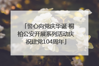 警心向党庆华诞 桐柏公安开展系列活动庆祝建党104周年